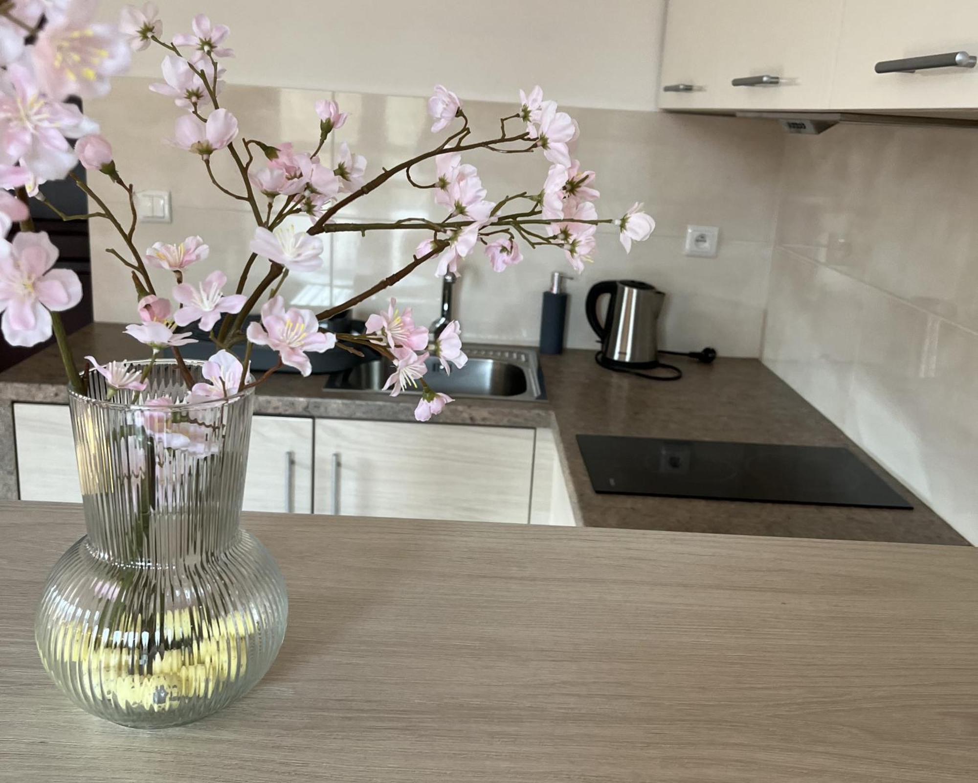 Apartamety I Pokoje Goscinne Na Jaskolczej Świeradów-Zdrój Εξωτερικό φωτογραφία