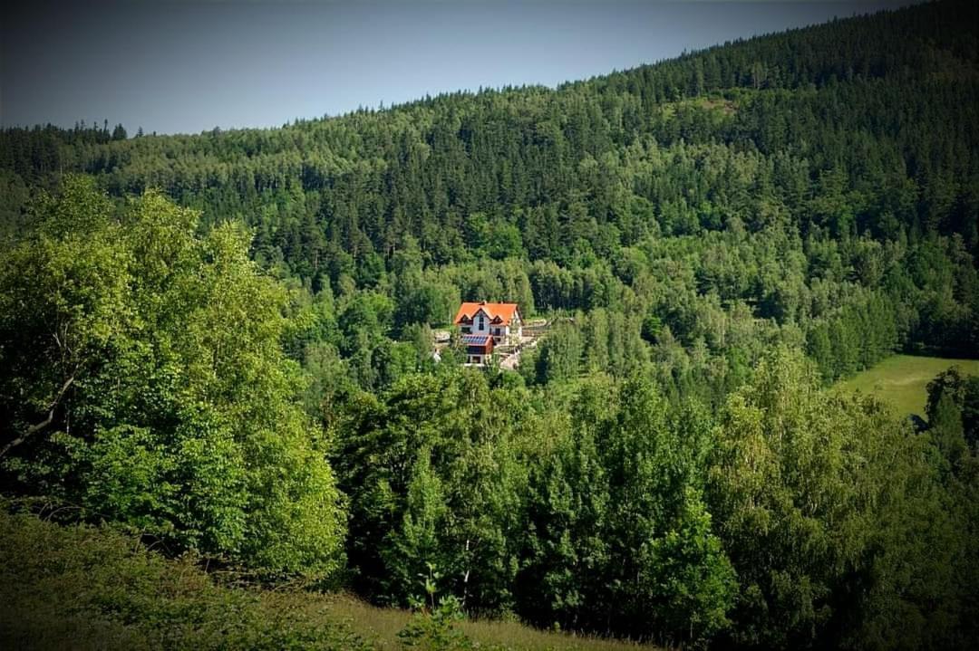 Apartamety I Pokoje Goscinne Na Jaskolczej Świeradów-Zdrój Εξωτερικό φωτογραφία